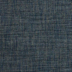 Nassimi Minetta 54" Polyester Upholstery Fabric | Van Interior