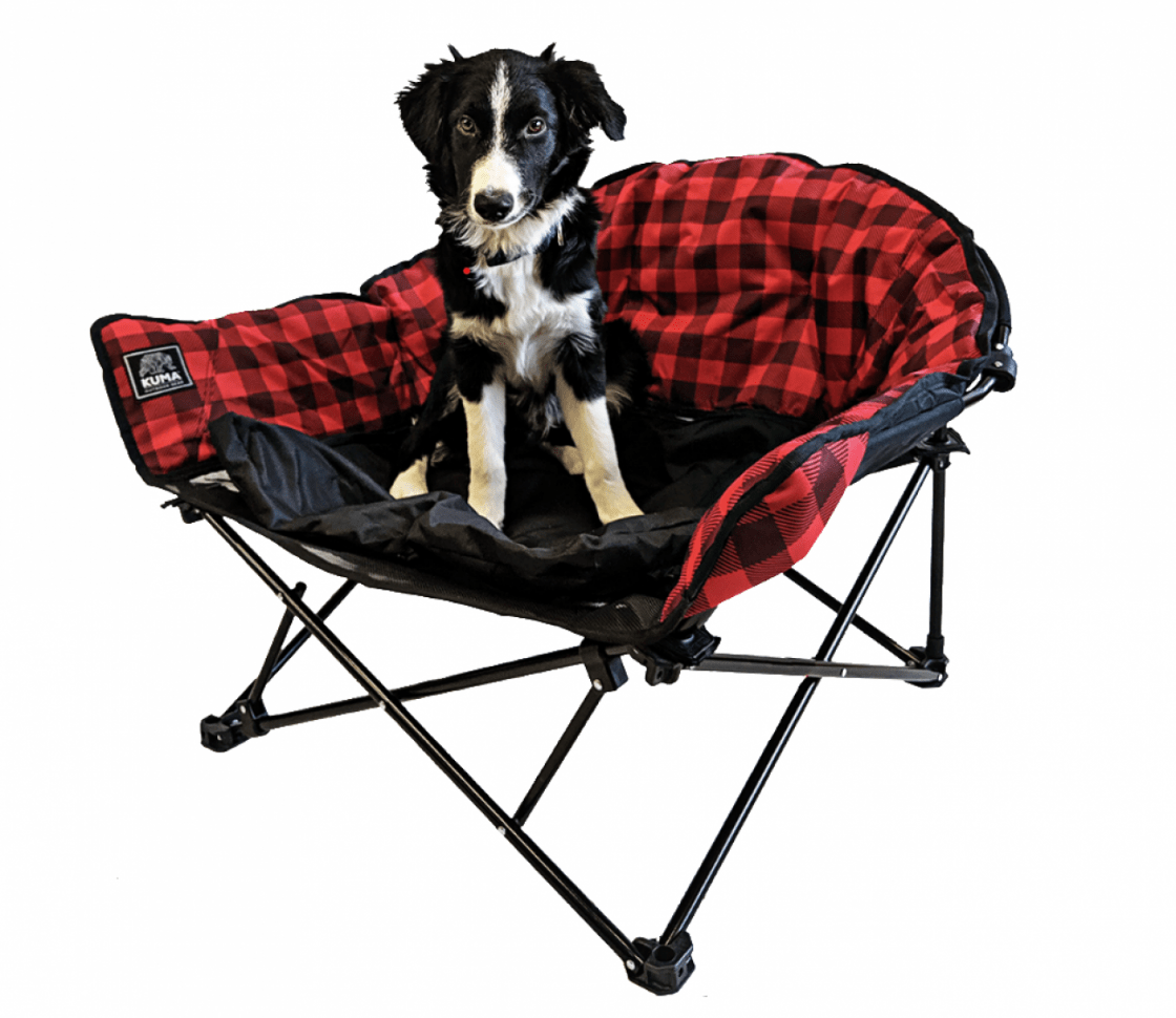 Lazy Bear Dog Chair