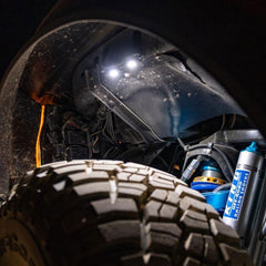 LED Rock Light