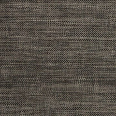 Nassimi Minetta 54" Polyester Upholstery Fabric | Van Interior