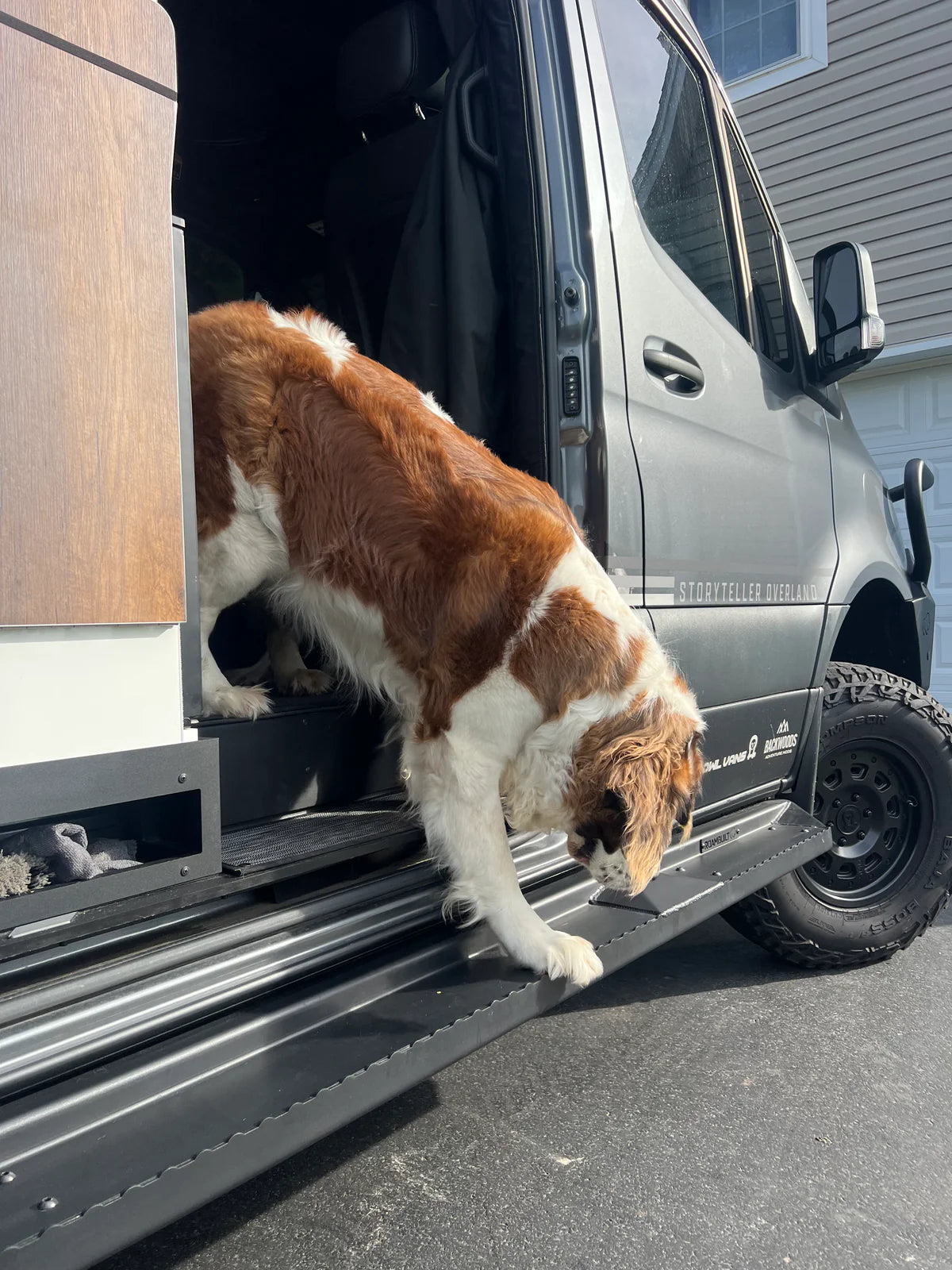 Sprinter Side Steps – Long / Flat Version (Passenger Side)
