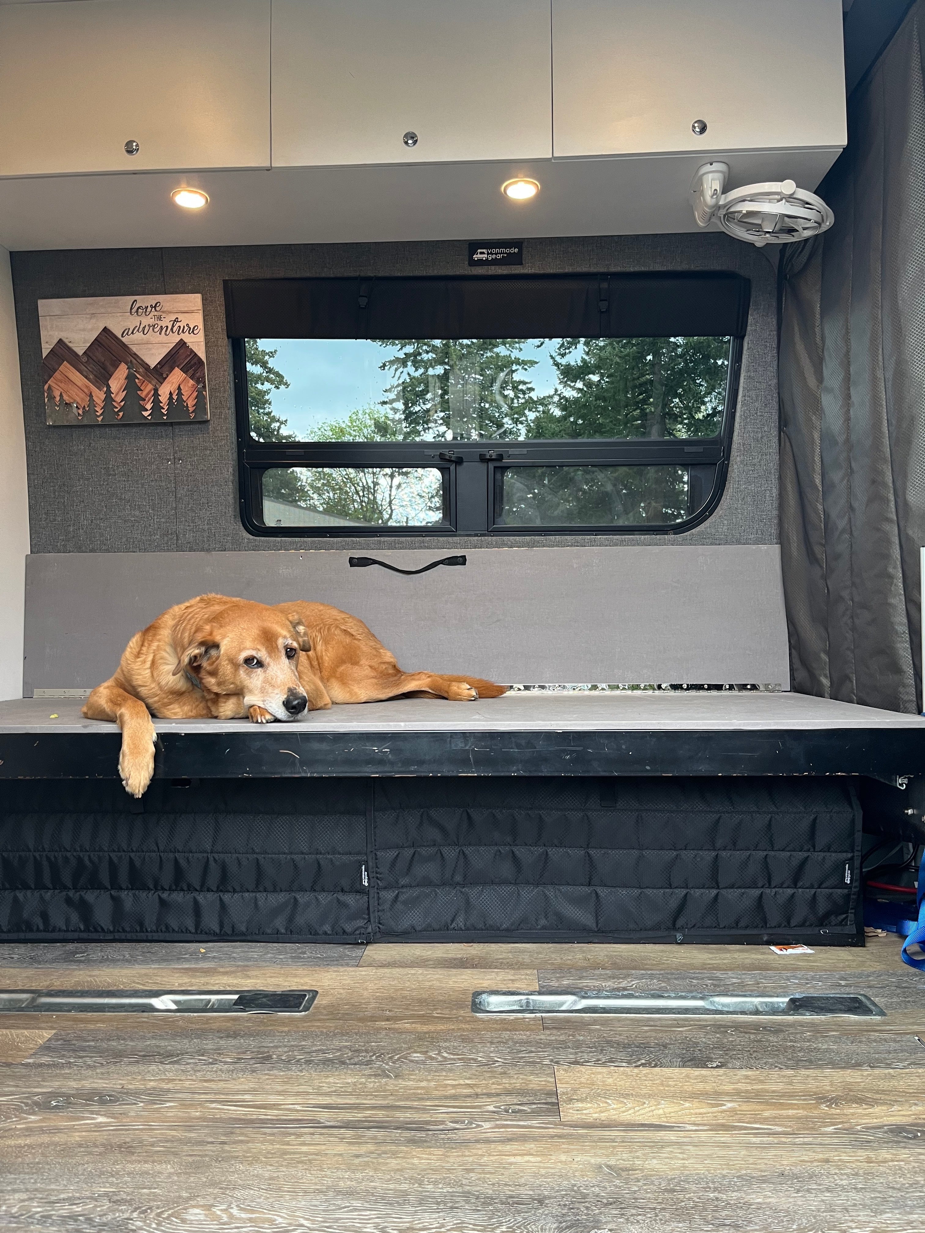 Sprinter - Crew Window Shade (Driver’s Side, 1st Row)