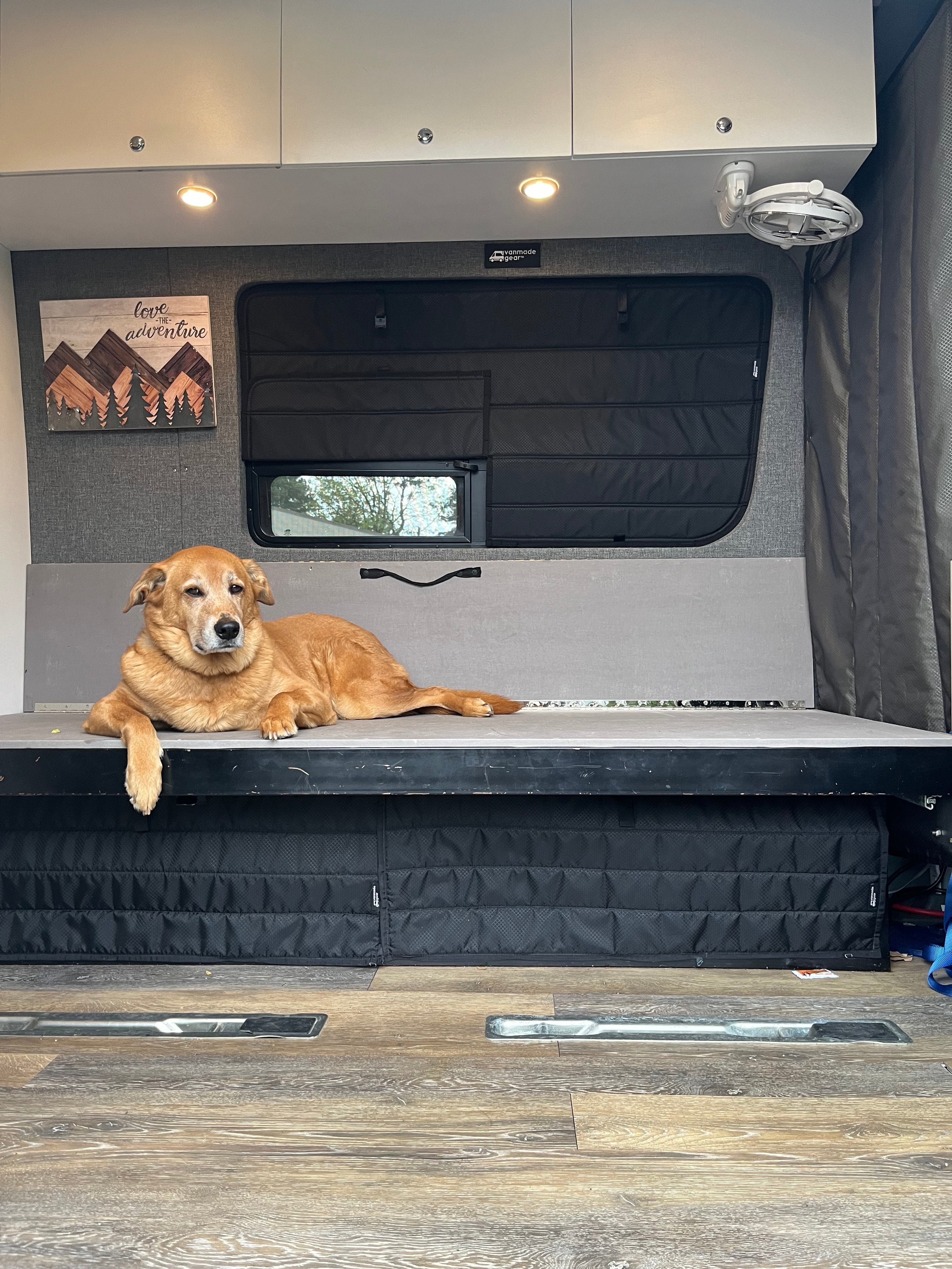 Sprinter - Crew Window Shade (Driver’s Side, 1st Row)