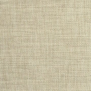 Nassimi Minetta 54" Polyester Upholstery Fabric | Van Interior