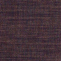Nassimi Minetta 54" Polyester Upholstery Fabric | Van Interior
