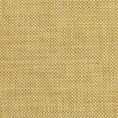 Nassimi Minetta 54" Polyester Upholstery Fabric | Van Interior