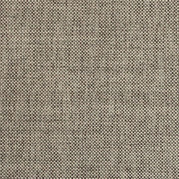 Nassimi Minetta 54" Polyester Upholstery Fabric | Van Interior