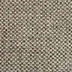 Nassimi Minetta 54" Polyester Upholstery Fabric | Van Interior
