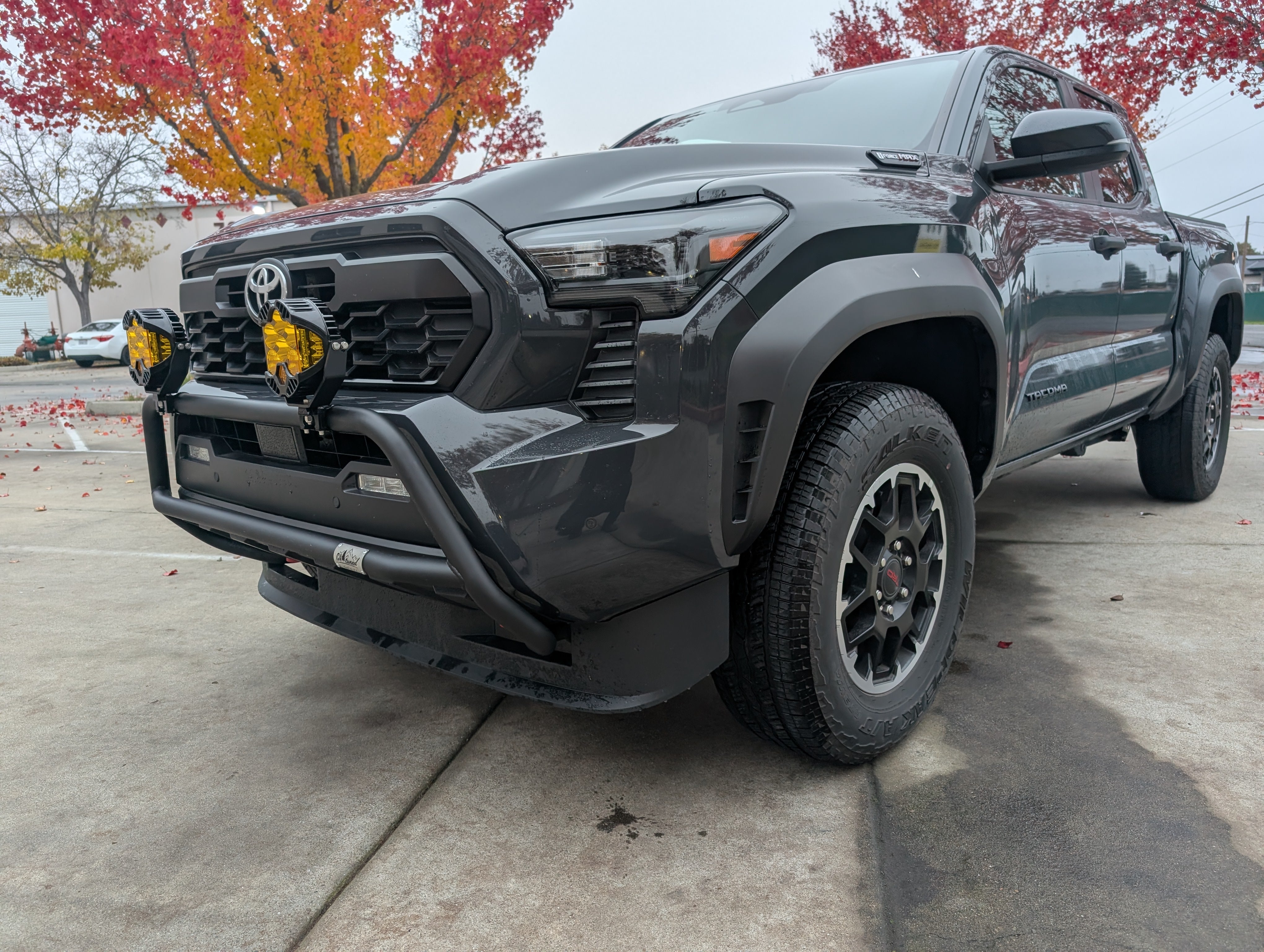 CAtuned Off-Road Toyota Tacoma Brush Bar