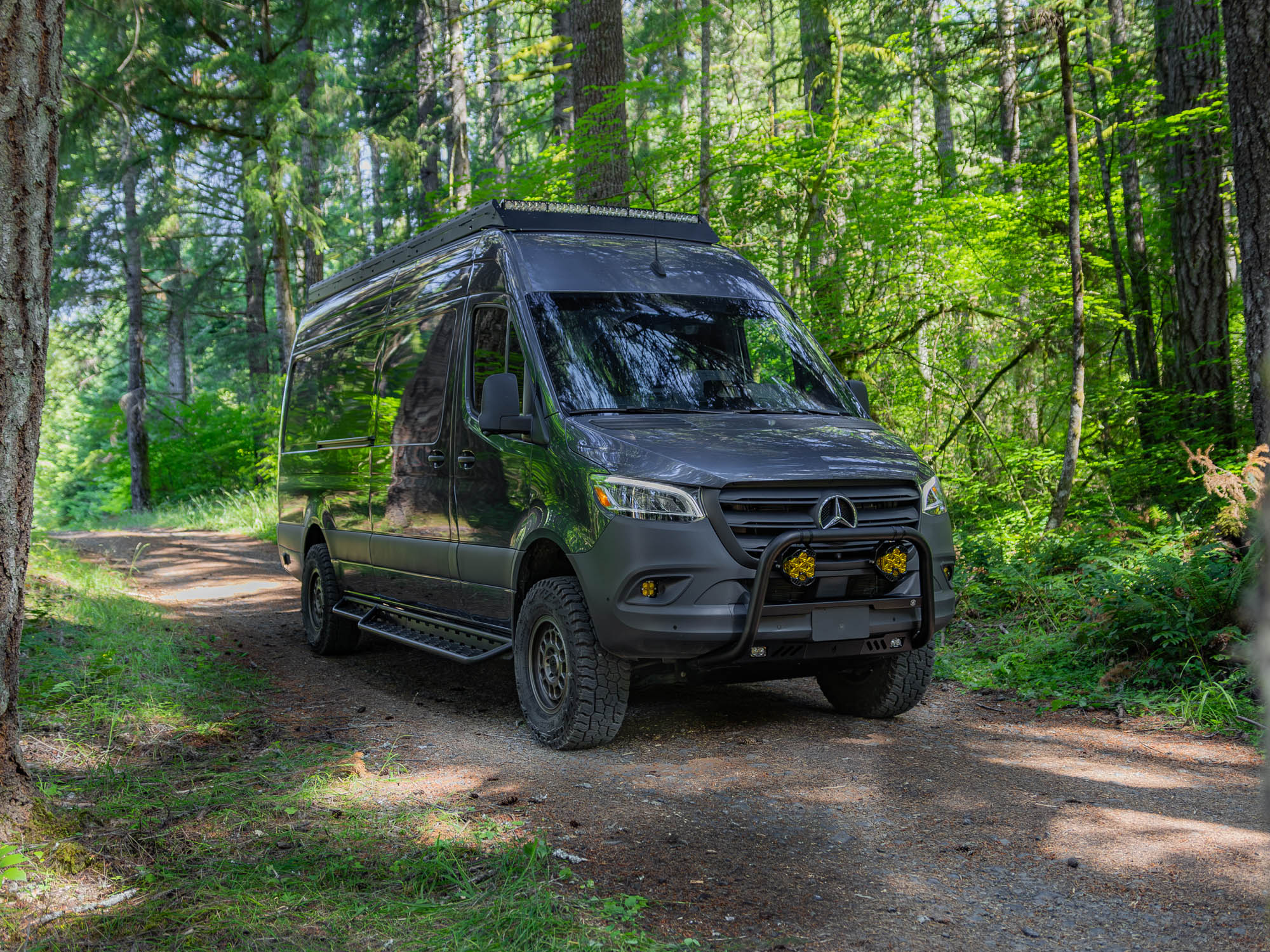 Sprinter Van Aluminum Side Steps