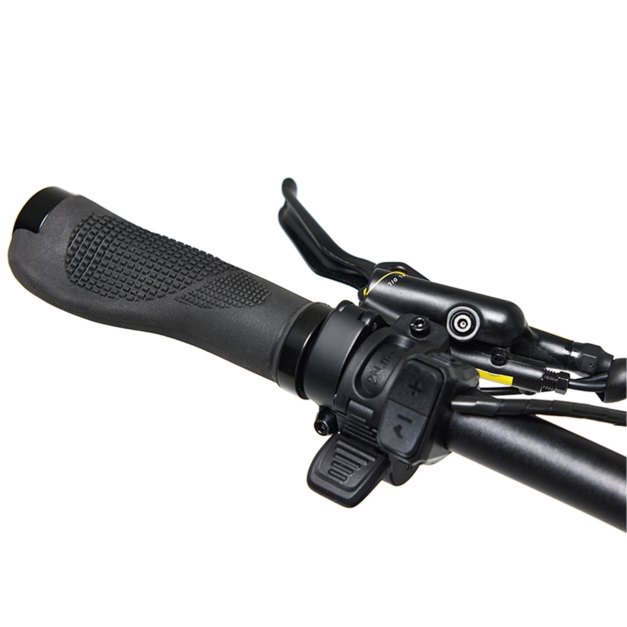 Bakcou Flatlander SD Electric Bike