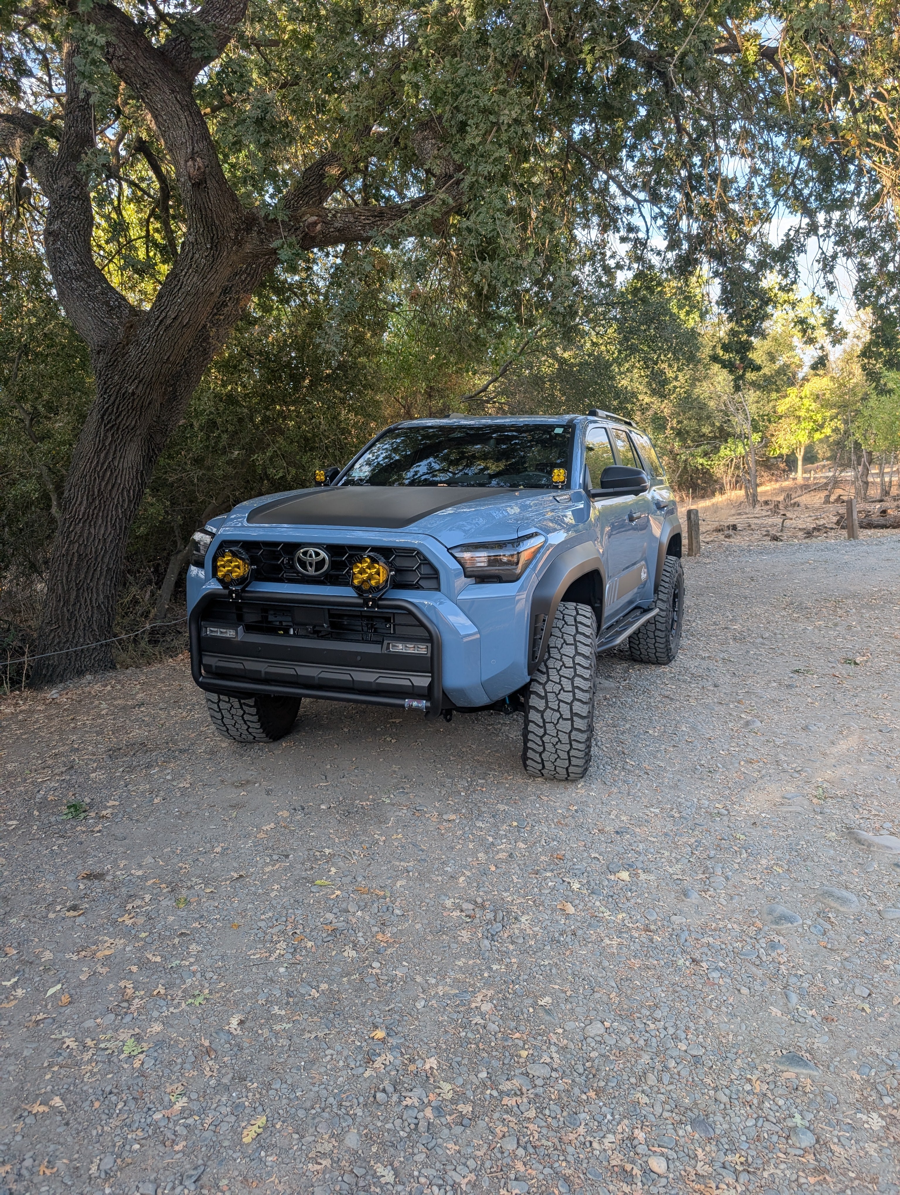 CAtuned Off-Road Toyota 4Runner Brush Bar