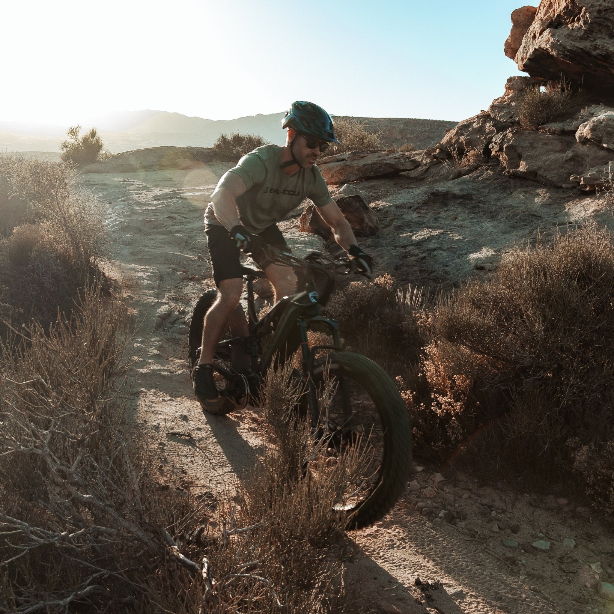 Bakcou Scout Electric Bike